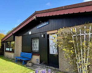 Unterkunft 4540179 - Bungalow Noordzeekust - De Stormvogel
