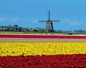 Guest house 454106 - Holiday property Noordzeekust - 100 jaar oude stolpboerderij