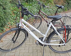 Unterkunft 455601 - Ferienhaus Noordzeekust - Casa Allegria