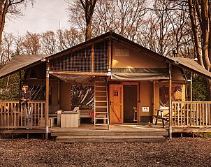 Unterkunft 461622 - Zelthaus IJsselmeerkust - De Bosvilla | 8 Pers. | Kachel