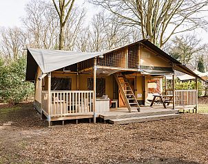 Unterkunft 461622 - Zelthaus IJsselmeerkust - De Bosvilla | 8 Pers. | Kachel