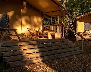 Unterkunft 461623 - Zelthaus IJsselmeerkust - De Bos Tent | 5 Pers