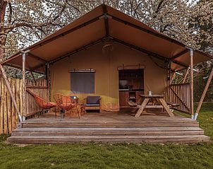 Unterkunft 461623 - Zelthaus IJsselmeerkust - De Bos Tent | 5 Pers
