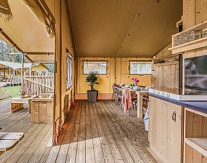 Unterkunft 461623 - Zelthaus IJsselmeerkust - De Bos Tent | 5 Pers