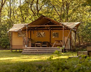 Unterkunft 461624 - Zelthaus IJsselmeerkust - De Heide Tent | 6 Pers