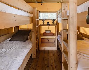 Unterkunft 461624 - Zelthaus IJsselmeerkust - De Heide Tent | 6 Pers