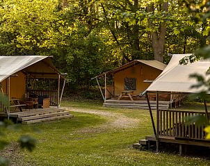 Unterkunft 461635 - Zelthaus IJsselmeerkust - «De Bos Tent»