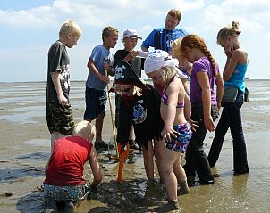 Unterkunft 470846 - Chalet Waddenkust - Recreatiepark Wiringherlant - Wiringher Chalet 94