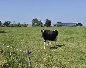 Unterkunft 470849 - Appartement Waddenkust - Het Hoge Noorden