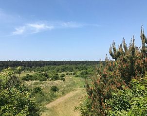 Blick auf die Natur rund um das Ferienhaus CORIMAR, Ballum, Ameland.