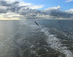 Meerblick bei CORIMAR Ferienhaus, Ballum, Ameland mit Mwen.