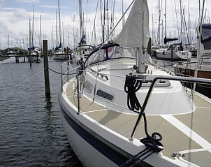 Guest house 490501 - Boat IJsselmeerkust - Bora