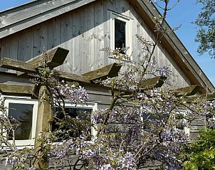 Verblijf 495201 - Vakantiewoning Noord-Holland midden - Vakantiehuis in Graft