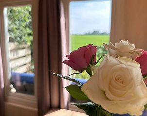 Verblijf 495201 - Vakantiewoning Noord-Holland midden - Vakantiehuis in Graft