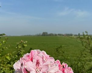 Verblijf 495201 - Vakantiewoning Noord-Holland midden - Vakantiehuis in Graft