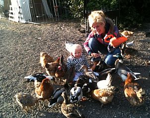 Verblijf 512401 - Vakantiewoning IJsselmeerkust - Overleekerhoeve