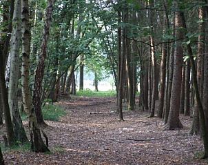 Verblijf 520805 - Vakantiewoning Twente - Landgoed Nieuwhuis