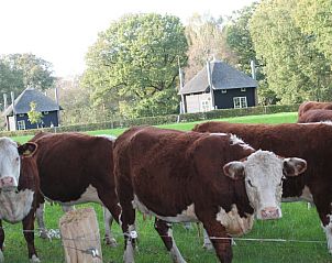 Verblijf 523501 - Bijzondere overnachtingen Twente - De Klaproos met Hottub