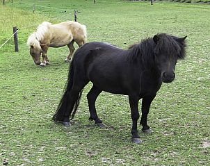 Verblijf 523808 - Vakantiewoning Twente - Vakantiehuis Het Landhuis