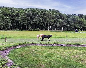 Verblijf 523808 - Vakantiewoning Twente - Vakantiehuis Het Landhuis