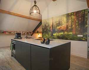 Verblijf 526707 - Vakantiewoning Twente - Huisje in Bornerbroek