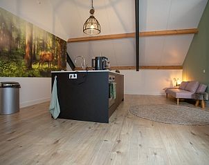 Verblijf 526707 - Vakantiewoning Twente - Huisje in Bornerbroek