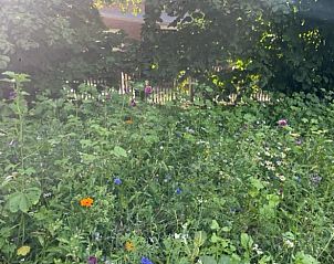 Verblijf 526707 - Vakantiewoning Twente - Huisje in Bornerbroek