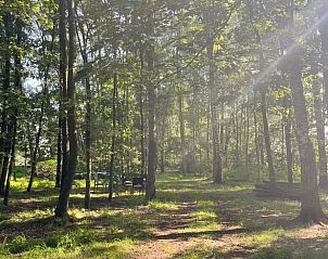 Verblijf 526707 - Vakantiewoning Twente - Huisje in Bornerbroek