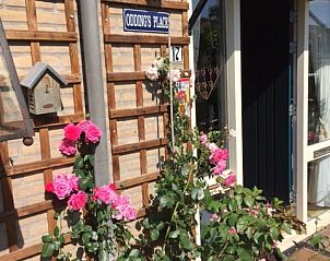 Verblijf 540611 - Bed and breakfast Vechtstreek - Oddingsplace