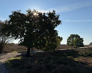 Verblijf 543602 - Vakantiewoning Vechtstreek - Vakantiehuisje in Kloosterhaar