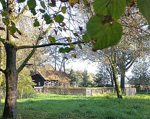 Verblijf 544501 - Vakantiewoning Vechtstreek - Vakantiehuis in Brucht
