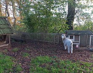 Verblijf 544501 - Vakantiewoning Vechtstreek - Vakantiehuis in Brucht