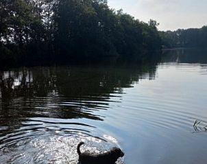 Verblijf 544501 - Vakantiewoning Vechtstreek - Vakantiehuis in Brucht