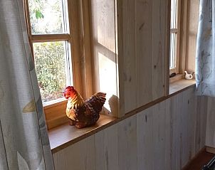 Verblijf 544501 - Vakantiewoning Vechtstreek - Vakantiehuis in Brucht