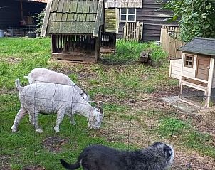 Verblijf 544501 - Vakantiewoning Vechtstreek - Vakantiehuis in Brucht