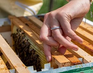 Verblijf 544804 - Vakantiewoning Vechtstreek - Huisje in Collendoorn