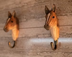 Verblijf 544804 - Vakantiewoning Vechtstreek - Huisje in Collendoorn