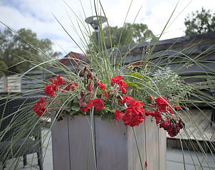 Verblijf 552317 - Vakantiewoning Noordwest Overijssel - OV669