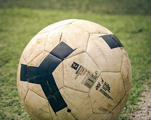 Verblijf 552319 - Vakantiewoning Noordwest Overijssel - OV670