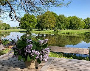 Verblijf 571002 - Bed and breakfast Utrechtse Heuvelrug - Vakantiehuis in Driebergen