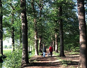 Verblijf 571002 - Bed and breakfast Utrechtse Heuvelrug - Vakantiehuis in Driebergen