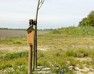 Unterkunft 590120 - Ferienhaus Noord-Beveland - Natuur Rietzoom