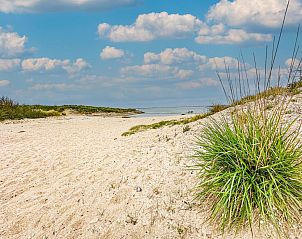 Unterkunft 590243 - Ferienhaus Noord-Beveland - Happy Beach 44