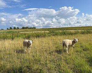 Unterkunft 590245 - Ferienhaus Noord-Beveland - Coast  Calm 71