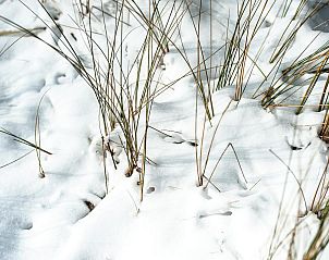 Verblijf 5903176 - Bungalow Noord-Beveland - Duinvallei 24 | De Groote Duynen