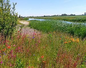 Guest house 5903357 - Bungalow Noord-Beveland - Waterlijn 04 | De Groote Duynen