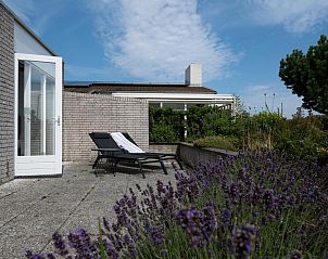 Guest house 5903362 - Holiday property Noord-Beveland - Ostrea 33 | Roompot Beach Resort