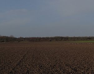 Unterkunft 5903376 - Bungalow Noord-Beveland - strandhuis De Bakkeete