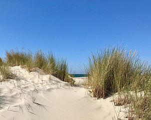 Guest house 5903381 - Bungalow Noord-Beveland - Zeeland-Strandhuis