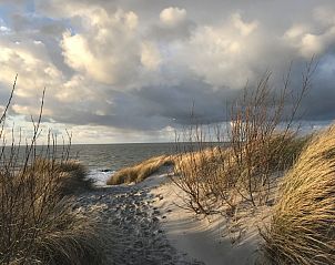 Guest house 5903381 - Bungalow Noord-Beveland - Zeeland-Strandhuis
